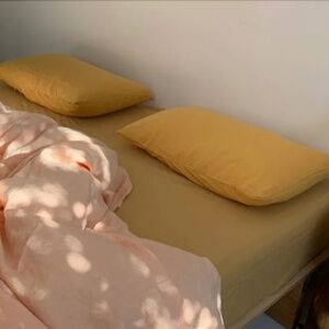 Dazed but amazed pillow slip set in honey